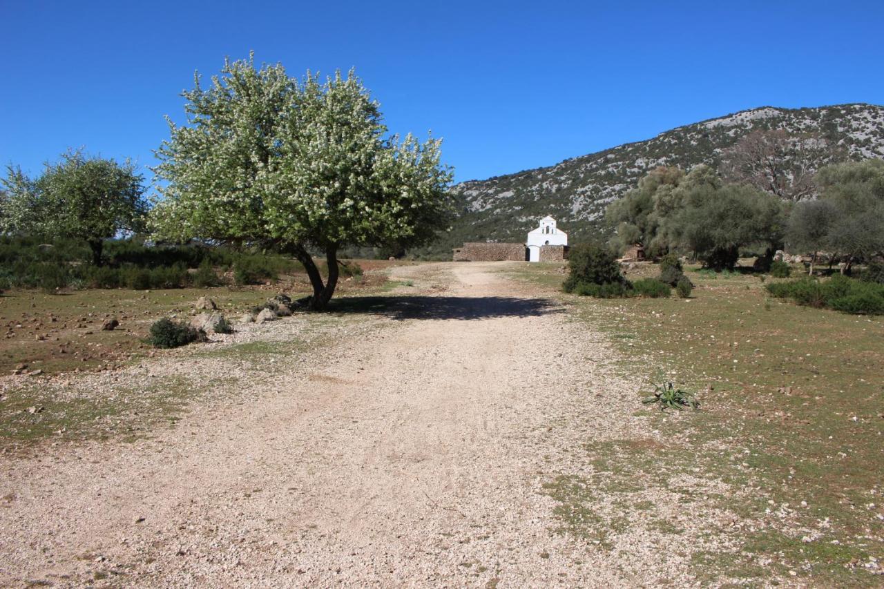B&B Issicoro Baunei Zewnętrze zdjęcie
